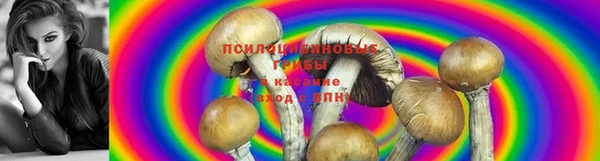 дурь Заволжье
