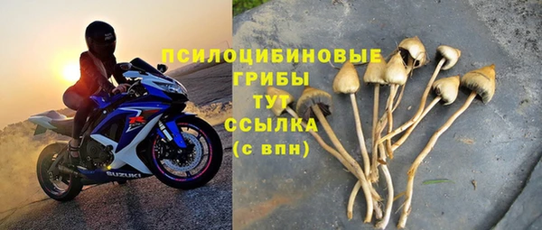 стаф Заволжск