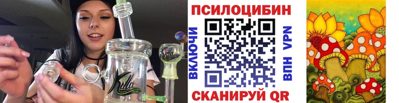 Галлюциногенные грибы Cubensis  Тобольск 